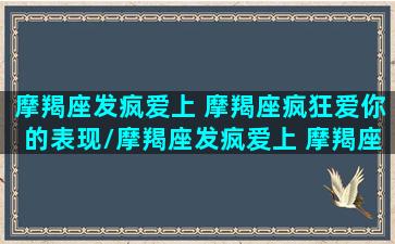 摩羯座发疯爱上 摩羯座疯狂爱你的表现/摩羯座发疯爱上 摩羯座疯狂爱你的表现-我的网站